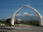 seputar pasuruan taman safari indonesia II