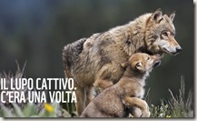Lupo