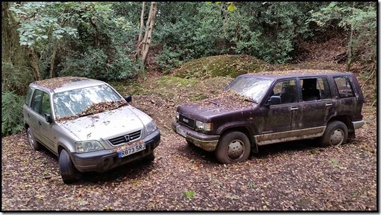 0416cars