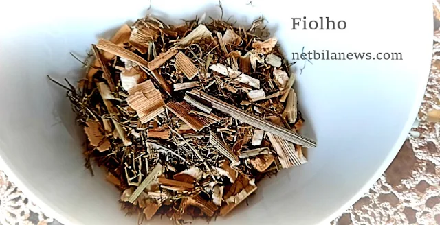 Fiolho