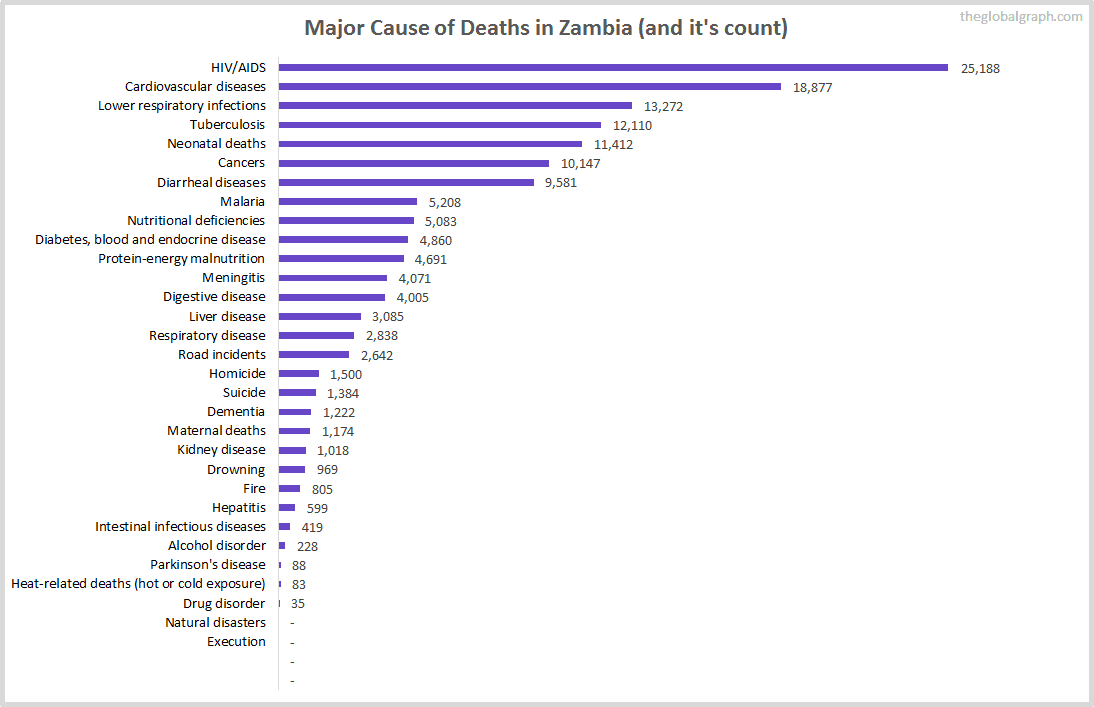 Major Cause of Deaths in Zambia (and it's count)