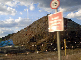 Manor Garden allotments 2009