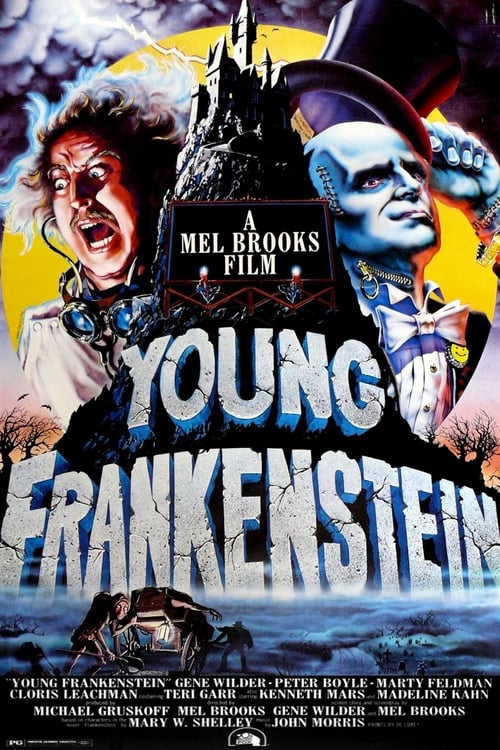 Regarder Frankenstein Junior 1974 Film Complet En Francais