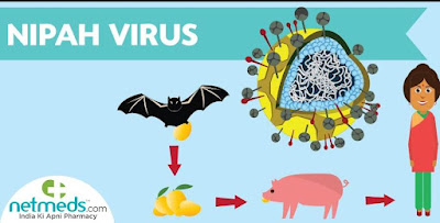 فيروس نيباه الجديد " Nipah virus"