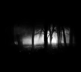 Dark trees wallpapers, wallpaper, desktop, backgrounds, images, photos, latest, 2012,2013, free, download, awesome, amazing, hot, cool, natural, photography, photographs, black