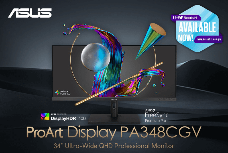 ASUS ProArt Display PA348CGV