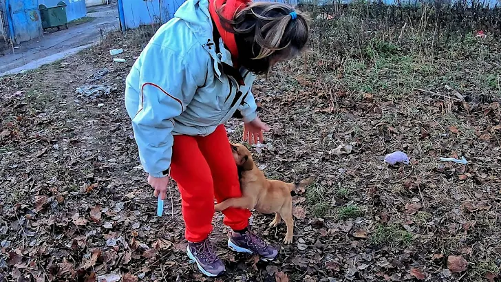 Abandoned ᴘᴜᴘᴘʏ Clings to Rescuer's Legs, Refusing to Let Go - Heartwarming Story!