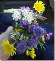 wild flower posy2