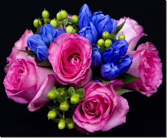 flowers