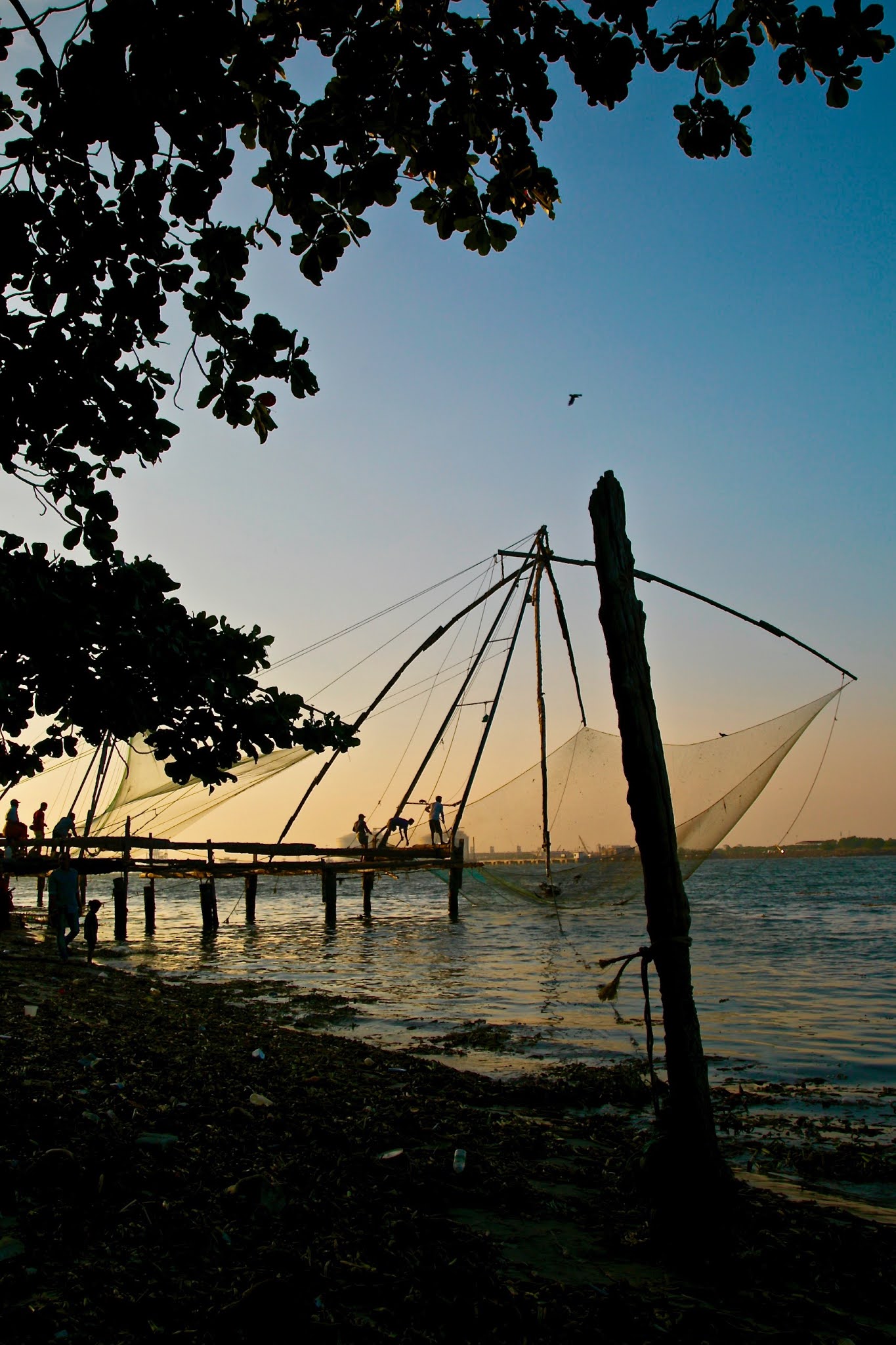 Chinese Nets in Fort Kochi high resolution free