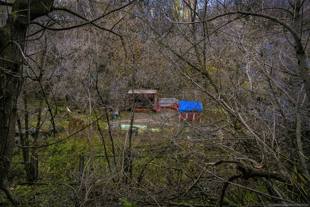 Небольшая сцена на дне оврага