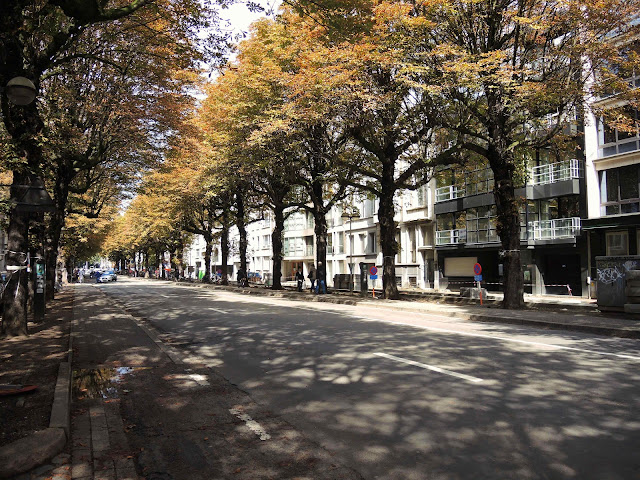 Antwerpen: de Charlottalei: over afscheid van 54 bomen en het wanbeleid rond leefkwaliteit