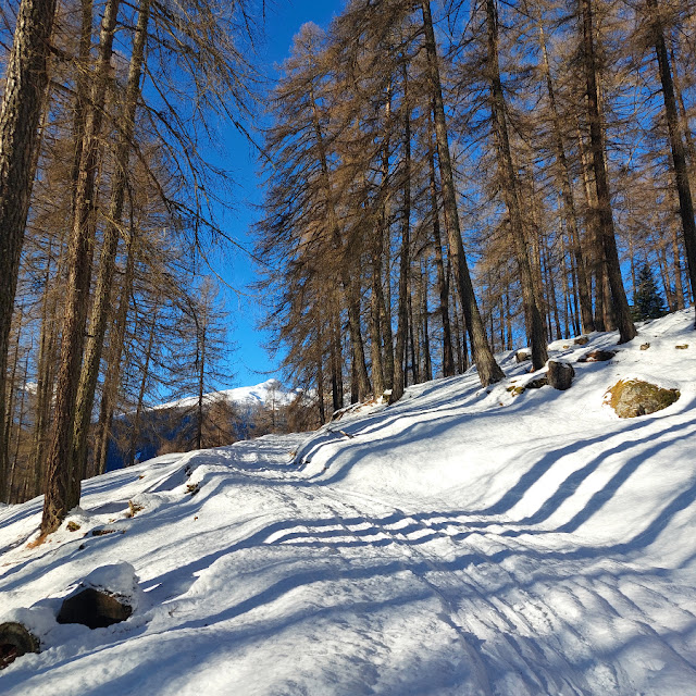 val di rabbi giro delle malghe ciaspole inverno