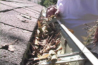 Pressure Wash & Cleaning gutters will help you avoid costly repairs