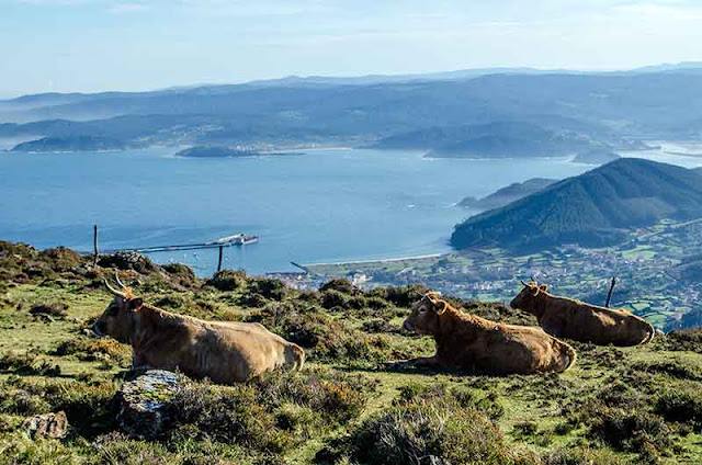 Serra da Capelada