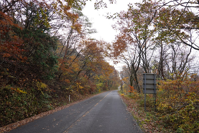 鳥取県道45号倉吉江府溝口線（大山環状道路）