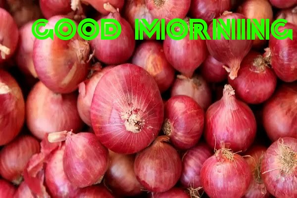 Wish You  Onion Good Morning