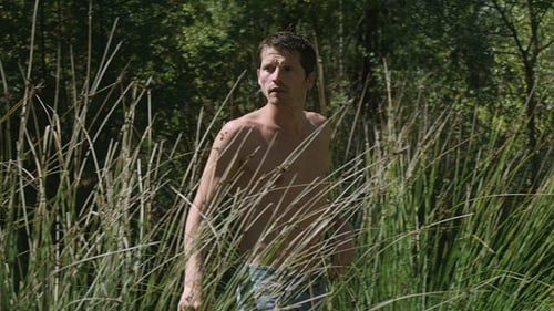 El desconocido del lago 2013 online full hd 1080p latino