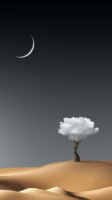 Dreaming Desert Tree Mobile Wallpaper HD