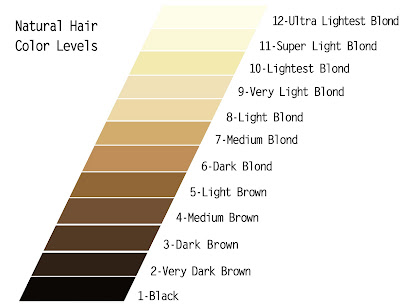 Understandin g the LEVEL SYSTEM of HAIR COLOR