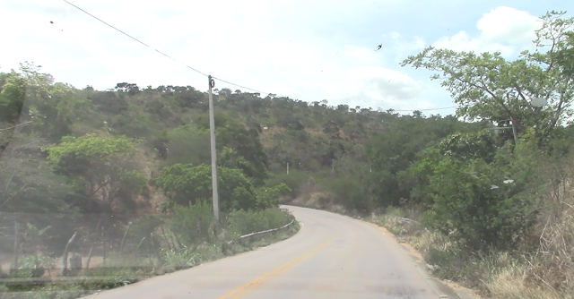 RODOVIAS PE-218 E AL-115, SÃO SINÔNIMOS DE ABANDONO PELOS GOVERNADORES DE PERNAMBUCO E ALAGOAS RESPECTIVAMENTE