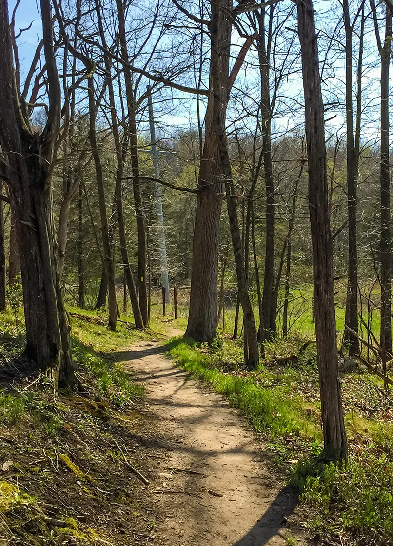 Ice Age Trail - Arbor Ridge Segment