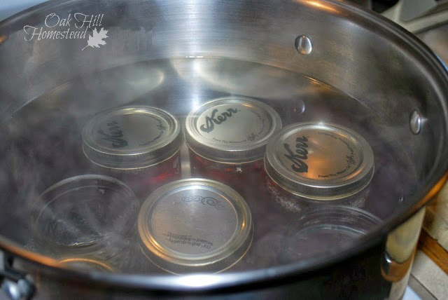 Jars of fruit being preserved in a water bath canner.