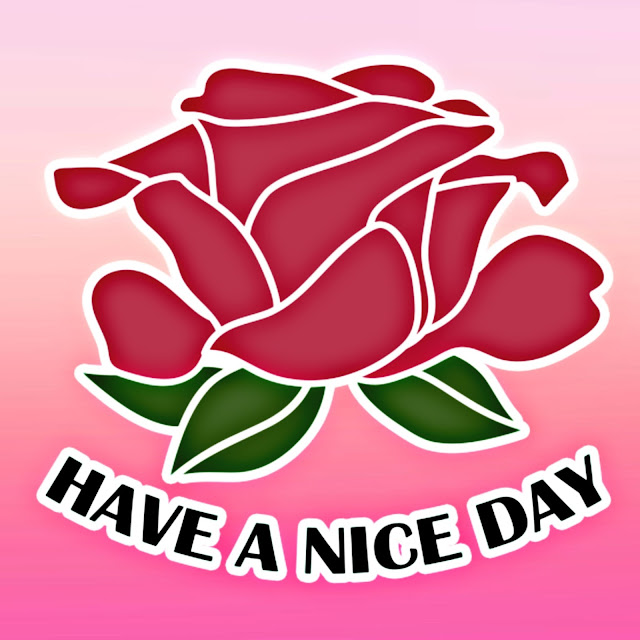 Best have a nice day images in 2021-Have a nice day images Download