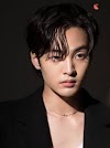 One night stand with my president (chapter 212)