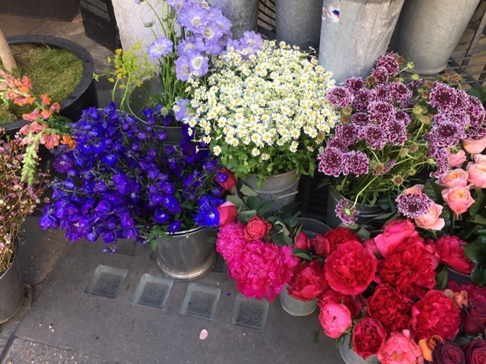 thumb_IMG_2695_1024 thumb_IMG_2695_1024