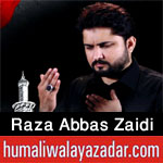 http://www.humaliwalayazadar.com/2013/06/syed-raza-abbas-zaidi-nohay-2006-2013.html