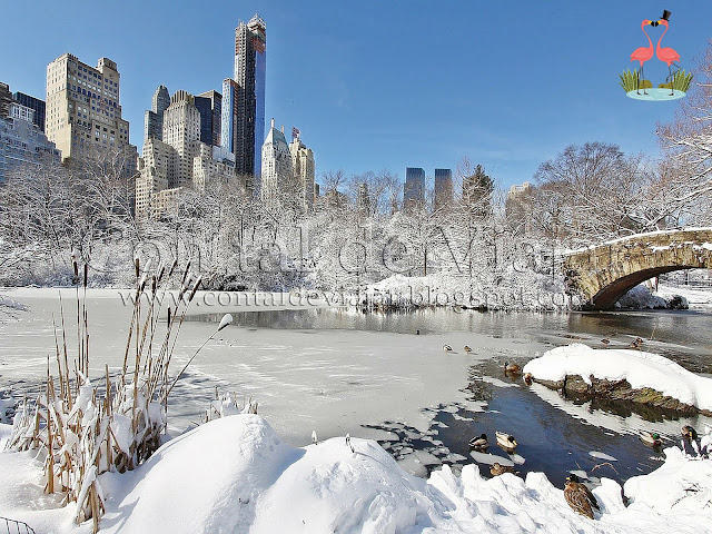 new-york-winter-christmas-snow-travel.jpg