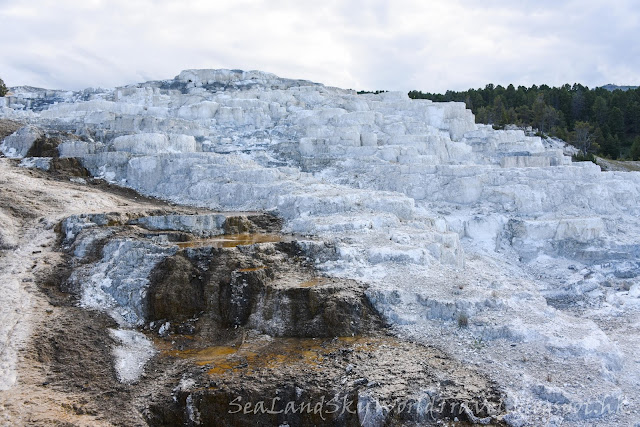 黃石國家公園, Mammoth Hot Springs, yellowstone national park