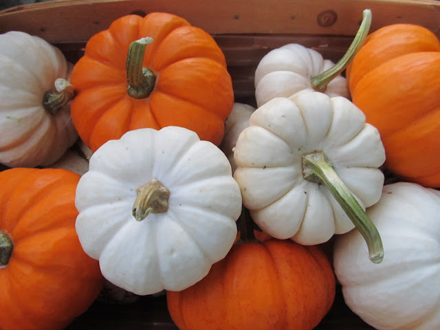 10 Ways to Refresh for Fall : #3 Add pumpkins to your regular decor