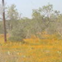 View album