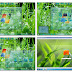 Top 10 windows 7 Skin Packs to Customize Your Desktop 