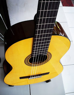  Konstruksi Gitar yamaha c315