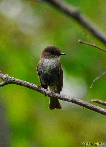 5. EAPH-kab