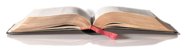 LEA LA BIBLIA EN UN AÑO
