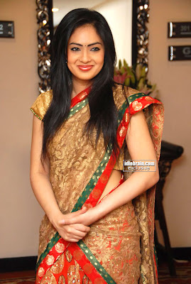 Actress Beautiful Nikisha Patel Pictures Traditional Saree