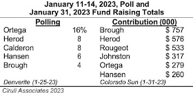 Denver Mayor Fundraising Poll