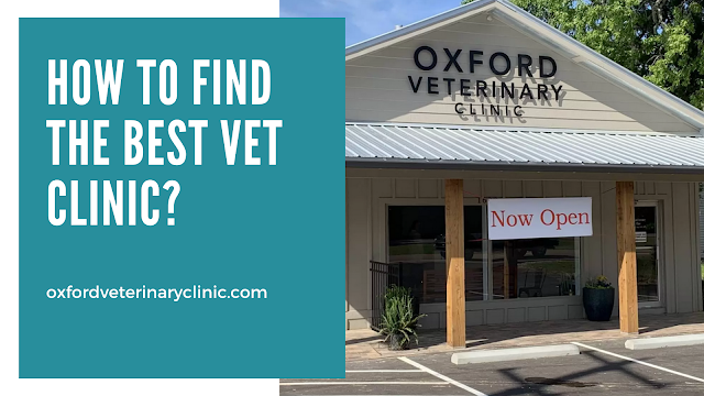 Vet Clinic