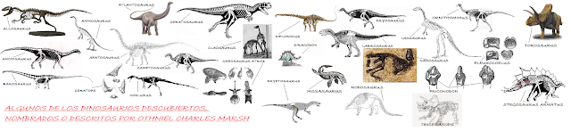 Resultado de imagen de Marsh dinosaurios