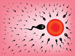 Sperm Count