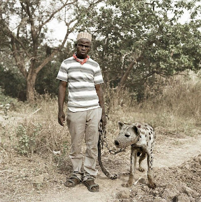 binatang peliharaan orang afrika