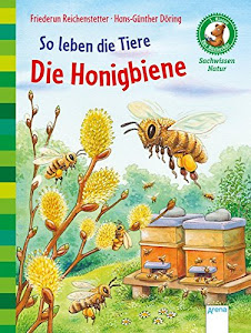 So leben die Tiere. Die Honigbiene: Der Bücherbär. Sachwissen Natur. 1. Klasse: