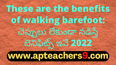 These are the benefits of walking barefoot: చెప్పులు లేకుండా నడిస్తే బెనిఫిట్స్ ఇవే 2022  spiritual benefits of walking barefoot 5 health benefits of walking barefoot benefits of walking barefoot on earth disadvantages of walking barefoot benefits of walking barefoot at home walking barefoot meaning benefits of walking barefoot on grass in the morning effects of walking barefoot on cold floor why hot food items should not be packed in polythene bags effects of eating high temperature food hot food in polythene bags 2 ways to never cool food hot food in plastic bags can cause cancer what happens if you drink hot and cold at the same time proper cooling methods for food what are three safe methods for cooling food? benefits of eating porridge everyday porridge benefits for skin benefits of eating porridge in the morning i ate oatmeal every morning for a month-here's what happened disadvantages of eating oats benefits of porridge for weight loss benefits of oats with milk benefits of eating porridge at night is taking a bath late at night dangerous bathing at night benefits taking a bath at night can cause anemia late night shower can cause death best time to bath at night advantages and disadvantages of taking a bath at night benefits of warm bath at night taking a bath at night is not good for your health brainly describe how we can keep ourselves fit and healthy simple health tips 10 tips for good health 100 health tips natural health tips health tips for adults health tips 2021 health tips of the day simple health tips for everyday living healthy tips simple health tips for students 100 simple health tips healthy lifestyle tips health tip of the week simple health tips for everyone simple health tips for everyday living 10 tips for a healthy lifestyle pdf 20 ways to stay healthy 5-minute health tips 100 health tips in hindi simple health tips for everyone 100 health tips pdf 100 health tips in tamil 5 tips to improve health natural health tips for weight loss natural health tips in hindi simple health tips for everyday living 100 health tips in hindi health in hindi daily health tips 10 tips for good health how to keep healthy body 20 health tips for 2021 health tips 2022 mental health tips 2021 heart health tips 2021 health and wellness tips 2021 health tips of the day for students fun health tips of the day mental health tips of the day healthy lifestyle tips for students health tips for women simple health tips 10 tips for good health 100 health tips healthy tips in hindi natural health tips health tips for students simple health tips for everyday living health tip of the week healthy tips for school students health tips for primary school students health tips for students pdf daily health tips for school students health tips for students during online classes mental health tips for students simple health tips for everyone health tips for covid-19 healthy lifestyle tips for students 10 tips for a healthy lifestyle healthy lifestyle facts healthy tips 10 tips for good health simple health tips health tips 2021 health tips natural health tips 100 health tips health tips for students simple health tips for everyday living 6 basic rules for good health 10 ways to keep your body healthy health tips for students simple health tips for everyone 5 steps to a healthy lifestyle maintaining a healthy lifestyle healthy lifestyle guidelines includes simple health tips for everyday living healthy lifestyle tips for students healthy lifestyle examples 10 ways to stay healthy 100 health tips 5 ways to stay healthy 10 ways to stay healthy and fit simple health tips simple health tips for everyday living health tips for students health tips in hindi beauty tips health tips for women health tips bangla health tips for young ladies 10 best health tips female reproductive health tips women's day health tips health tips in kannada women's health tips for heart, mind and body women's health tips for losing weight healthy woman body beauty tips at home beauty tips natural beauty tips for face beauty tips for girls beauty tips for skin beauty tips of the day top 10 beauty tips beauty tips hindi health tips for school students health tips for students during exams five ways of maintaining good health 10 ways to stay healthy at home ways to keep fit and healthy 6 tips to stay fit and healthy how to stay fit and healthy at home 20 ways to stay healthy ways to keep fit and healthy essay 5 ways to stay healthy essay 10 ways to stay healthy at home write five points to keep yourself healthy 5 ways to stay healthy during quarantine 10 tips for a healthy lifestyle healthy lifestyle essay unhealthy lifestyle examples 5 steps to a healthy lifestyle healthy lifestyle article for students talk about healthy lifestyle healthy lifestyle benefits healthy lifestyle for students in school healthy tips for school students importance of healthy lifestyle for students health tips for students during online classes health tips for students pdf health and wellness for students healthy lifestyle for students essay healthy lifestyle article for students 10 ways to stay healthy and fit ways to keep fit and healthy essay 6 tips to stay fit and healthy how to stay fit and healthy at home what are the best ways for students to stay fit and healthy how to keep body fit and strong on the basis of the picture given below,  how to be fit in 1 week write 10 rules for good health golden rules for good health health rules most important things you can do for your health how to keep your body healthy and strong five ways of maintaining good health mental health tips 2022 top 10 tips to maintain your mental health mental health tips for students self-care tips for mental health mental health 2022 fun activities to improve mental health 10 ways to prevent mental illness how to be mentally healthy and happy world heart day theme 2021 world heart day 2021 health tips news world heart day wikipedia world heart day 2020 world heart day pictures world heart day theme 2020 happy heart day 5 ways to prevent covid-19 best food for covid-19 recovery 10 ways to prevent covid-19 covid-19 health and safety protocols precautions to be taken for covid-19 covid-19 diet plan pdf safety measures after covid-19 precautions for covid-19 patient at home how to keep reproductive system healthy 10 ways in keeping the reproductive organs clean and healthy why is it important to keep your reproductive system healthy how to take care of your reproductive system male what are the proper ways of taking care of the female reproductive organs male ways of taking care of reproductive system ppt taking care of reproductive system grade 5 prevention of reproductive system diseases proper ways of taking care of the reproductive organs ways of taking care of reproductive system ppt how to take care of reproductive system male what are the proper ways of taking care of the female reproductive organs care of male and female reproductive organs? why is it important to take care of the reproductive organs the following are health habits to keep the reproductive organs healthy which one is care of male and female reproductive organs? what are the proper ways of taking care of the female reproductive organs ways of taking care of reproductive system ppt ways to take care of your reproductive system why is it important to take care of the reproductive organs taking care of reproductive system grade 5 how to take care of your reproductive system poster what are the proper ways of taking care of the female reproductive organs taking care of reproductive system grade 5 what are the proper ways of taking care of the male reproductive organs care of male and female reproductive organs? female reproductive system - ppt presentation female reproductive system ppt pdf reproductive system ppt anatomy and physiology reproductive system ppt grade 5 talk about healthy lifestyle cue card importance of healthy lifestyle importance of healthy lifestyle speech what is healthy lifestyle essay healthy lifestyle habits my healthy lifestyle healthy lifestyle essay 100 words healthy lifestyle short essay healthy lifestyle essay 150 words healthy lifestyle essay pdf benefits of a healthy lifestyle essay healthy lifestyle essay 500 words healthy lifestyle essay 250 words  precautions to be taken during winter season precautions to be taken for cold cold weather precautions for home how to stay healthy during winter season how to protect your body in winter season what things should we keep in mind to stay healthy in the winter  safety tips for winter season in india how to take care of yourself during winter seasonal diseases list seasonal diseases in india seasonal diseases and precautions seasonal diseases in telugu seasonal diseases in india pdf seasonal diseases pdf 4 seasonal diseases rainy season diseases and prevention 10 things not to do after eating i ate too much and now i want to vomit how to ease your stomach after eating too much how to digest faster after a heavy meal what to do after overeating at night how to detox after eating too much i ate too much today will i gain weight i don't feel good after i eat calcium fruits for bones fruits for bone strength how to increase bone strength naturally bone strengthening foods how to increase bone calcium best fruit juice for bones calcium-rich foods for bones vitamins for strong bones and joints black pepper uses and benefits how much black pepper per day benefits of eating black pepper empty stomach black pepper with hot water benefits side effects of black pepper benefits of black pepper and honey pepper benefits turmeric with black pepper benefits how to protect eyes from mobile screen naturally how to protect eyes from mobile screen during online classes glasses to protect eyes from mobile screen how to protect eyes from mobile and computer 5 ways to protect your eyes best eye protection mobile phone glasses to protect eyes from mobile screen flipkart how to protect eyes from computer screen can you die from eating too many almonds how many is too many almonds i eat 100 almonds a day symptoms of eating too many almonds almond skin dangers how many almonds should i eat a day why are roasted almonds bad for you how many almonds to eat per day for good skin amla for skin whitening amla for skin pigmentation how to use amla for skin can i apply amla juice on face overnight how to use amla powder for skin whitening amla face pack for pigmentation how to make amla juice for skin best amla juice for skin best n95 mask for covid n95 mask with filter n95 mask reusable best mask for covid where to buy n95 mask n95 mask price 3m n95 mask kn95 vs n95 how many dates to eat per day dates benefits sexually dates benefits for sperm benefits of dates for men benefits of khajoor for skin dates benefits for skin is dates good for cold and cough benefits of dates for womens how to cook mulberry leaves mulberry benefits mulberry leaves benefits for hair mulberry benefits for skin when to harvest mulberry leaves mulberry leaf extract benefits mulberry leaf tea benefits mulberry fruit side effects are recovered persons with persistent positive test of covid-19 infectious to others? if someone in your house has covid will you get it do i still need to quarantine for 14 days if i was around someone who has covid-19? how long will you test positive for covid after recovery what do i do if i’ve been exposed to someone who tested positive for covid-19? how long does coronavirus last in your system how long should i stay in home isolation if i have the coronavirus disease? positive covid test after recovery how to make coriander water can we drink coriander water at night how to make coriander water for weight loss coriander seed water side effects how to make coriander seeds water how to make coriander seeds water for thyroid coriander water for thyroid coriander leaves boiled water benefits 10 points on harmful effects of plastic 5 harmful effects of plastic harmful effects of plastic on environment harmful effects of plastic on environment in points how is plastic harmful to humans harmful effects of plastic on environment pdf single-use plastic effects on environment brinjal benefits and side effects disadvantages of brinjal brinjal benefits for skin brinjal benefits ayurveda brinjal benefits for diabetes uses of brinjal green brinjal benefits brinjal vitamins 10 ways to keep your heart healthy 5 ways to keep your heart healthy 13 rules for a healthy heart 20 ways to keep your heart healthy how to keep heart-healthy and strong heart-healthy foods heart-healthy lifestyle healthy heart symptoms daily massage with mustard oil mustard oil disadvantages benefits of mustard oil for skin why mustard oil is not banned in india benefits of mustard oil massage on feet benefits of mustard oil in cooking mustard oil massage benefits mustard oil benefits for brain side effects of mint leaves lungs cleaning treatment benefits of drinking mint water in morning mint leaves steam for face lungs cleaning treatment for smokers benefits of mint leaves how to use ginger for lungs how to clean lungs in 3 days Carrot juice benefits in telugu 17 benefits of mustard seed 5 uses of mustard 10 uses of mustard how much mustard should i eat a day mustard seeds side effects benefits of chewing mustard seed dijon mustard health benefits is mustard good for your stomach Benefits of Vaseline on face Vaseline on face overnight before and after Vaseline petroleum jelly for skin whitening 100 uses for Vaseline Does Blue Seal Vaseline lighten the skin Vaseline uses for skin 19 unusual uses for Vaseline Effect of petroleum jelly on lips barley pests and diseases how to use barley for diabetes diseases of barley ppt how to use barley powder barley benefits and side effects barley disease control barley diseases integrated pest management of barley how to sleep better at night naturally good sleep habits food for good sleep tips on how to sleep through the night how to get a good night sleep and wake up refreshed how to sleep fast in 5 minutes how to sleep through the night without waking up how to sleep peacefully without thinking how to use turmeric to boost immune system turmeric immune booster recipe turmeric immune booster shot raw turmeric vs powder 10 serious side effects of turmeric raw turmeric powder best time to eat raw turmeric raw turmeric benefits for liver best antibiotic for cough and cold name of antibiotics for cough and cold best medicine for cold and cough best antibiotic for cold and cough for child best tablet for cough and cold in india best cold medicine for runny nose cold and cough medicine for adults best cold and flu medicine for adults moringa leaf powder benefits what happens when you drink moringa everyday? side effects of moringa list of 300 diseases moringa cures pdf how to use moringa leaves what sickness can moringa cure how long does it take for moringa to start working can moringa cure chest pain how to use aloe vera to lose weight rubbing aloe vera on stomach how to prepare aloe vera juice for weight loss best time to drink aloe vera juice for weight loss how to use forever aloe vera gel for weight loss aloe vera juice weight loss stories how much aloe vera juice to drink daily for weight loss benefits of eating oranges everyday benefits of eating oranges for skin benefits of eating orange at night orange benefits and side effects benefits of eating orange in empty stomach orange benefits for men how many oranges a day to lose weight how many oranges should i eat a day is orthostatic hypotension dangerous orthostatic hypotension symptoms causes of orthostatic hypotension orthostatic hypotension in 20s orthostatic hypotension treatment orthostatic hypotension test how to prevent orthostatic hypotension orthostatic hypotension treatment in elderly what will happen if we drink dirty water for class 1 what are the diseases associated with water? which water is safe for drinking dangers of tap water 5 dangers of drinking bad water what happens if you drink contaminated water what to do if you drink contaminated water 5 ways to make water safe for drinking how long before bed should you turn off electronics side effects of using phone at night does screen time affect sleep in adults sleeping with phone near head why you shouldn't use your phone before bed screen time before bed research adults screen time doesn't affect sleep using phone at night bad for eyes how many tulsi leaves should be eaten in a day how to cure high blood pressure in 3 minutes tulsi leaves side effects tricks to lower blood pressure instantly what happens if we eat tulsi leaves daily high blood pressure foods to avoid what to drink to lower blood pressure quickly how to consume tulsi leaves why am i sleeping too much all of a sudden i sleep 12 hours a day what is wrong with me oversleeping symptoms causes of oversleeping how to recover from sleeping too much oversleeping effects is 9 hours of sleep too much why am i suddenly sleeping for 10 hours side effects of eating raw curry leaves how many curry leaves to eat per day benefits of curry leaves for hair curry leaves health benefits benefits of curry leaves boiled water curry leaves benefits and side effects how to eat curry leaves curry leaves benefits for uterus side effects of drinking cold water symptoms of drinking too much water does drinking cold water cause cold drinking cold water in the morning on an empty stomach does drinking cold water increase weight disadvantages of drinking cold water in the morning is drinking cold water bad for your heart effect of cold water on bones food for strong bones and muscles indian food for strong bones and muscles list five foods you can eat to build strong, healthy bones. medicine for strong bones and joints 2 factors that keep bones healthy Top 10 health benefits of dates Health benefits of dates Dry dates benefits for male Soaked dates benefits Dry dates benefits for female silver water benefits how much colloidal silver to purify water silver in water purification silver in drinking water health benefit of drinking hard water what is silver water silver ion water purifier colloidal silver poisoning how i cured my lower back pain at home how to relieve back pain fast how to cure back pain fast at home back pain home remedies drink how to cure upper back pain fast at home female lower back pain treatment what is the best medicine for lower back pain? one stretch to relieve back pain side effects of drinking salt water why is drinking salt water harmful benefits of drinking warm water with salt in the morning benefits of drinking salt water salt water flush didn't make me poop himalayan salt detox side effects when to eat after salt water flush 10 uses of salt water side effects of carbonated drinks harmful effects of soft drinks wikipedia disadvantages of soft drinks in points drinking too much pepsi symptoms drinking too much coke side effects effects of carbonated drinks on the body side effects of drinking coca-cola everyday harmful effects of soft drinks on human body pdf what happens if you don't breastfeed your baby baby feeding mother milk breastfeeding mother 14 risks of formula feeding is bottle feeding safe for newborn baby negative effects of formula feeding are formula-fed babies healthy breastfeeding vs bottle feeding breast milk what is the best cream for deep wrinkles around the mouth best anti aging cream 2021 scientifically proven anti aging products best anti aging cream for 40s what is the best wrinkle cream on the market? best anti aging cream for 30s best treatment for wrinkles on face best anti aging skin care products for 50s carbonated soft drinks market demand for soft drinks trends in carbonated soft drink industry carbonated soft drink market in india cold drink sales statistics soft drink sales 2021 soda industry market share of soft drinks in india 2021 how much tomato to eat per day 10 benefits of tomato eating tomato everyday benefits benefits of eating raw tomatoes in the morning disadvantages of eating tomatoes why are tomatoes bad for your gut eating tomato everyday for skin disadvantages of eating raw tomatoes green peas benefits for skin green peas benefits for weight loss green peas side effects green peas benefits for hair benefits of peas and carrots green peas calories green peas protein per 100g dry peas benefits benefits of walnuts for females benefits of walnuts for skin benefits of walnuts for male 15 proven health benefits of walnuts benefits of almonds how many walnuts to eat per day walnut benefits for sperm soaked walnuts benefits 5 health benefits of walking barefoot spiritual benefits of walking barefoot dangers of walking barefoot benefits of walking barefoot at home disadvantages of walking barefoot is walking barefoot at home bad benefits of walking barefoot on grass in the morning walking barefoot meaning how to cure asthma forever how to prevent asthma how to prevent asthma attacks at night asthma prevention diet what causes asthma how to stop asthmatic cough what is the best treatment for asthma how to avoid asthma triggers at home amaranth leaves side effects thotakura juice benefits thotakura benefits in telugu amaranth benefits amaranth benefits for skin amaranth benefits for hair red amaranth leaves side effects amaranth leaves iron content skin diseases list with pictures 5 ways of preventing skin diseases 10 skin diseases blood test for hair loss female symptoms of skin diseases common skin diseases hair loss after covid treatment and vitamins what do dermatologists prescribe for hair loss pomegranate benefits for female benefits of pomegranate for skin benefits of pomegranate seeds pomegranate benefits for men benefits of pomegranate juice how much pomegranate juice per day pomegranate juice side effects benefits of pomegranate leaves disadvantages of jaggery 33 health benefits of jaggery how much jaggery to eat everyday benefits of jaggery water vitamins in jaggery dark brown jaggery benefits jaggery benefits for sperm jaggery benefits for male