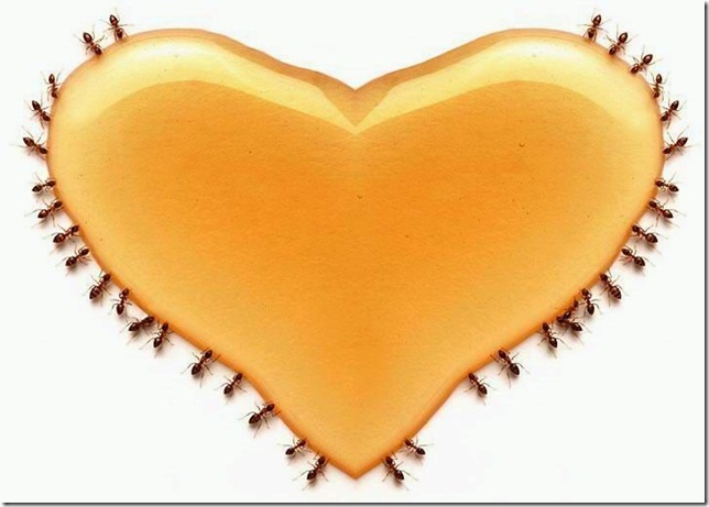 amor doce amor