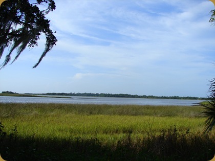 DSC03948