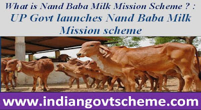 What is Nand Baba Milk Mission Scheme